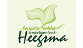 Heegsma bv